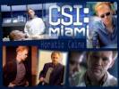 CSI : Miami Wallpapers - Photos 