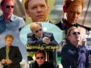 CSI : Miami Wallpapers - Photos 