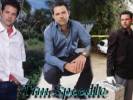 CSI : Miami Wallpapers - Photos 