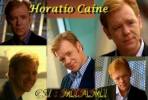 CSI : Miami Wallpapers - Photos 