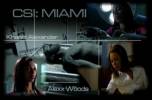 CSI : Miami Wallpapers - Photos 