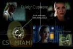 CSI : Miami Wallpapers - Photos 