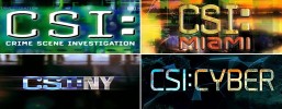 CSI : Miami La franchise des CSI 