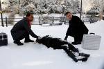CSI : New York Promo 614 