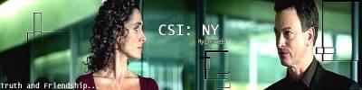 CSI : New York Logos/Bannires 