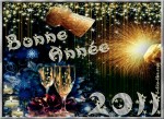 2010-12-31 10-49-00