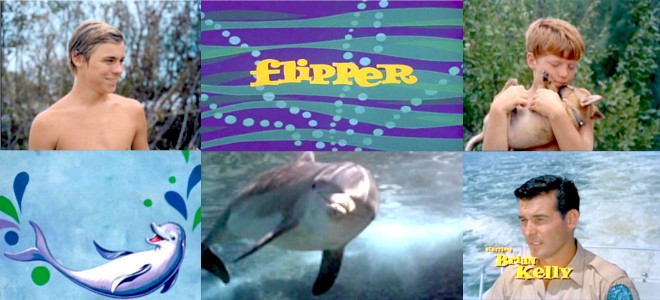 Bannire de la srie Flipper